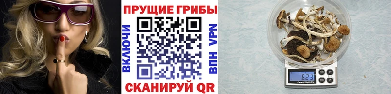 наркота  Белый  mega ссылка  Псилоцибиновые грибы ЛСД 